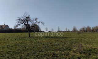 Photo N° 4