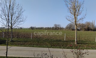 Photo N° 5