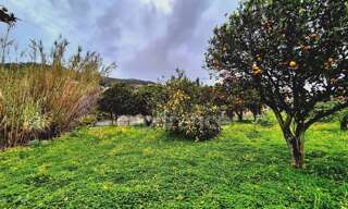 Terrain  1348 m² à vendre à Bastia (20600)