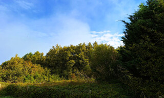 Photo N° 3