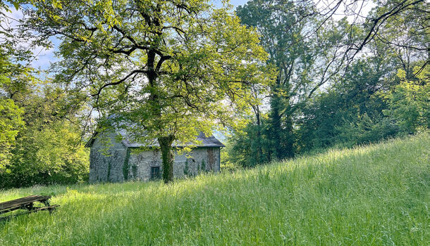 Autres 1 pièces  à vendre Rébénacq 64260