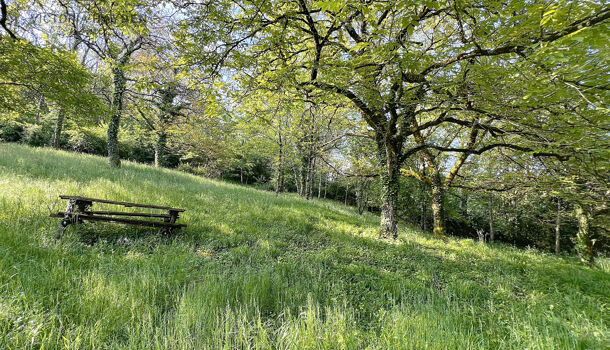 Autres 1 pièces  à vendre Rébénacq 64260