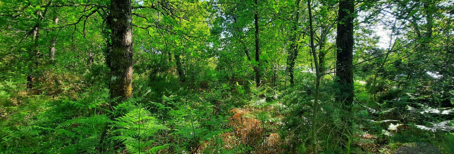 Terrain  1324 m² à vendre à Le Teich (33470)