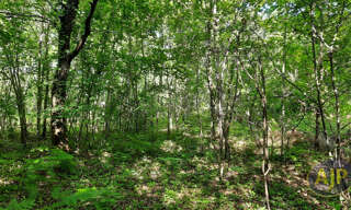 Terrain  1335 m² à vendre à Le Teich (33470)