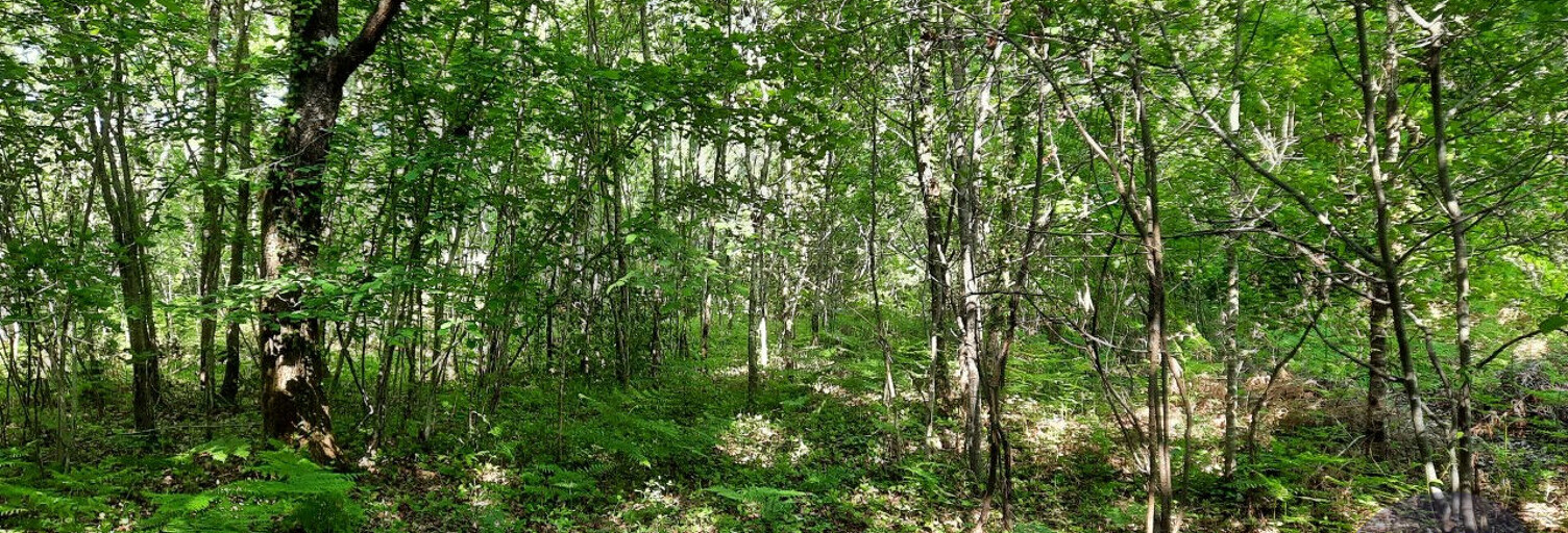 Terrain  1335 m² à vendre à Le Teich (33470)