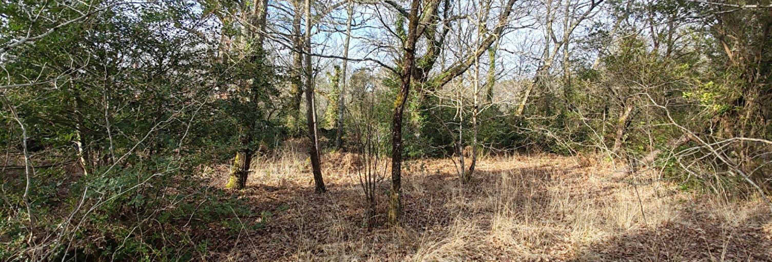 Terrain  1168 m² à vendre à Le Teich (33470)