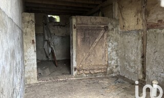 Photo N° 4