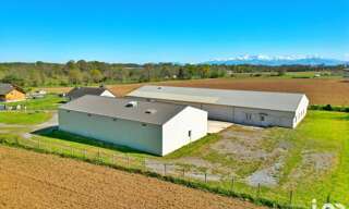 Commerce  1234 m² à vendre à Luquet (65320)