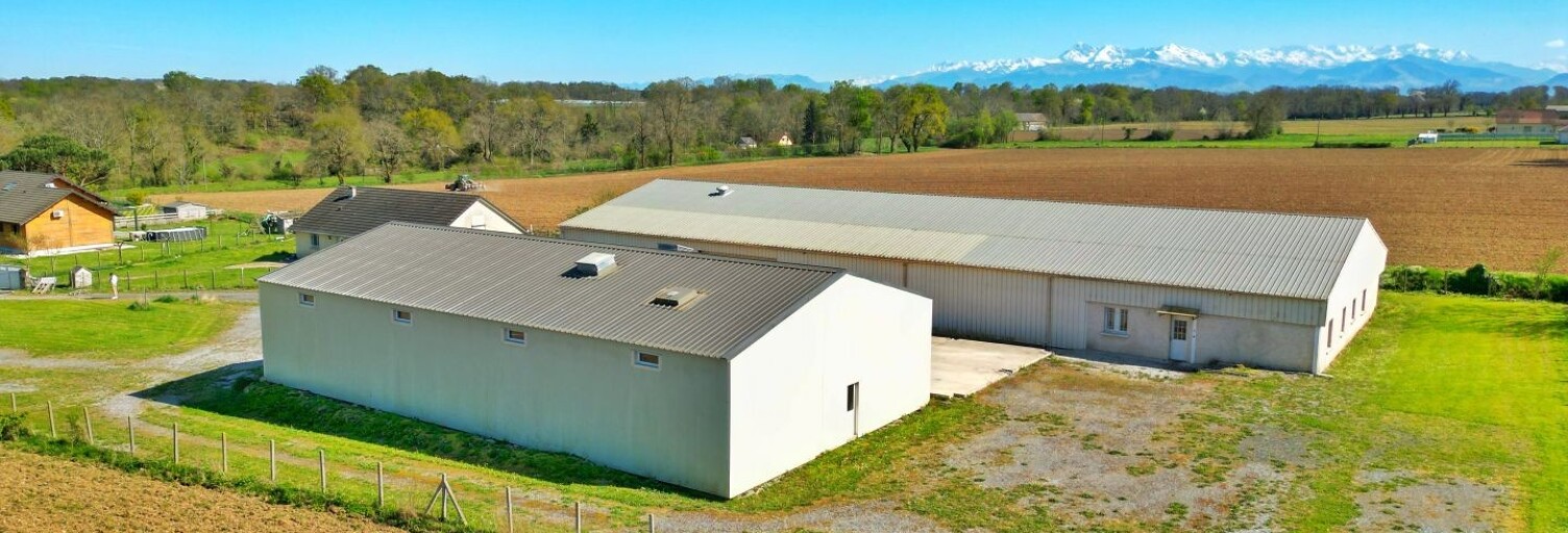 Commerce  1234 m² à vendre à Luquet (65320)