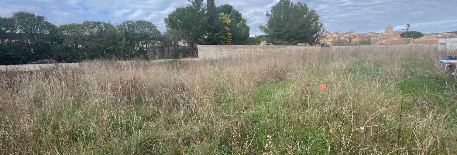 Terrain  1000 m² à vendre à Neffiès (34320)