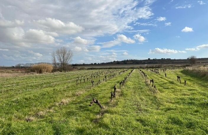 Terrain constructible en bordure du village de Pouzolles. — photo 5