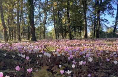 vente terrain 99 000 € à proximité de Saint-Ciers-sur-Gironde (33820)