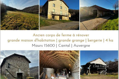 Maison 11 pièces 165000 €