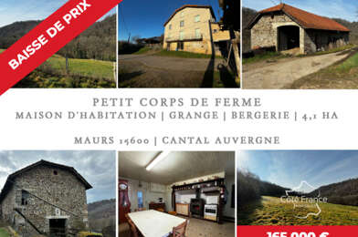 Maison 11 pièces 165000 €