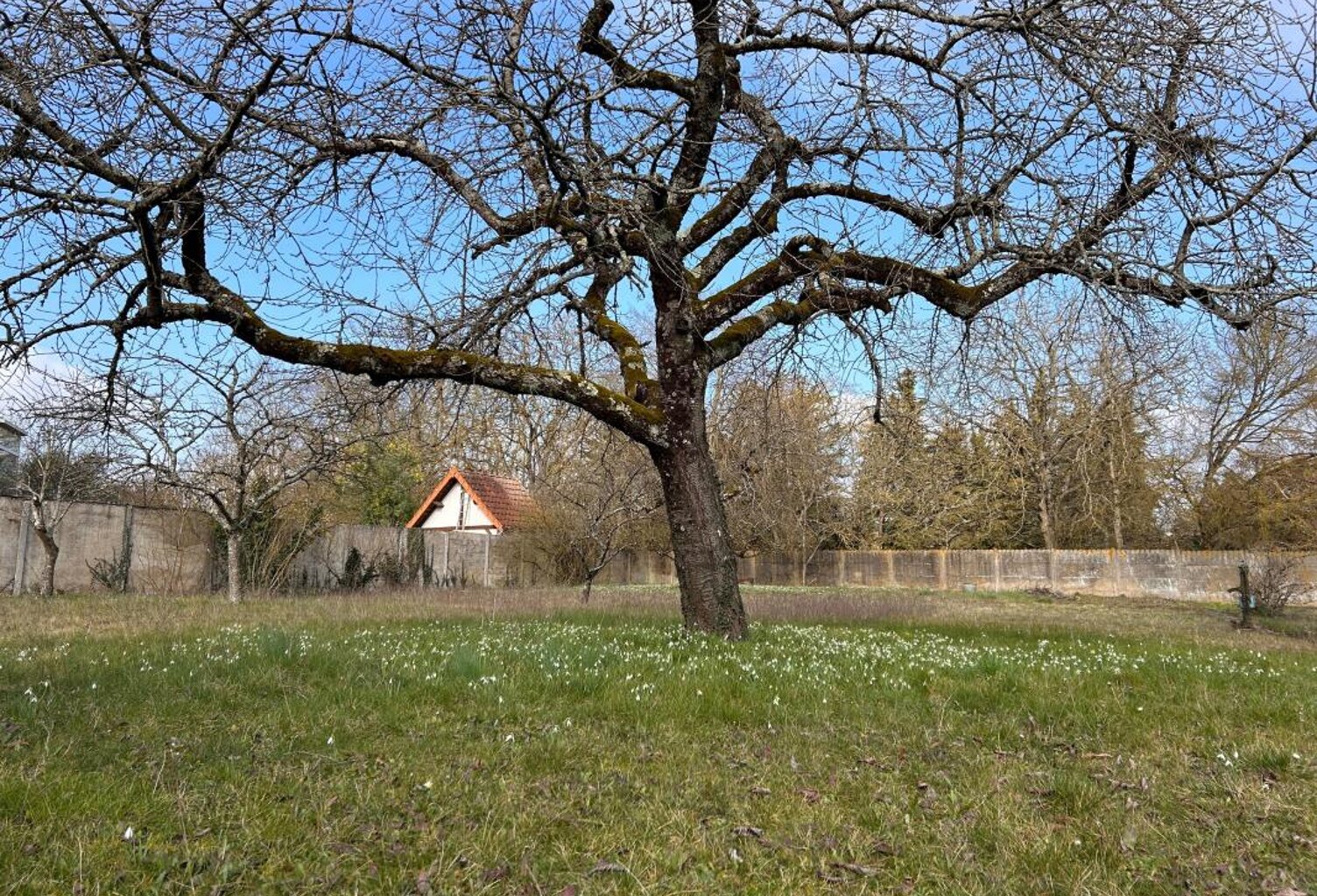 Terrain À Vendre — photo 1