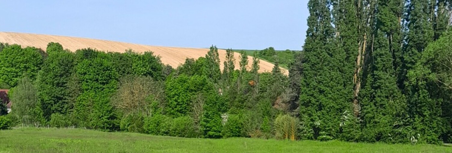 Terrain  1277 m² à vendre à Messon (10190)