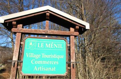 vente terrain 54 000 € à proximité de Cornimont (88310)