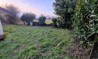 Photo N° 4