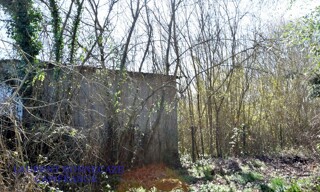 Photo N° 3