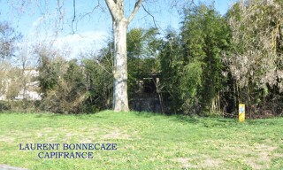 Photo N° 4