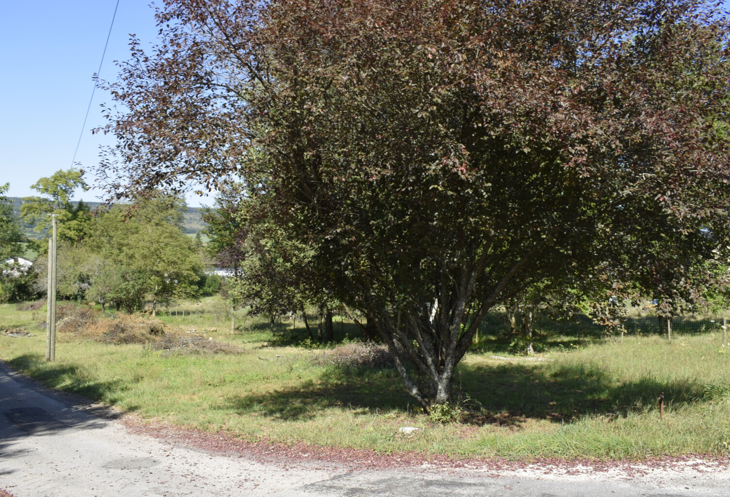 À Vendre   Terrain Constructible de 1 700 m2 à Arinthod — photo 1