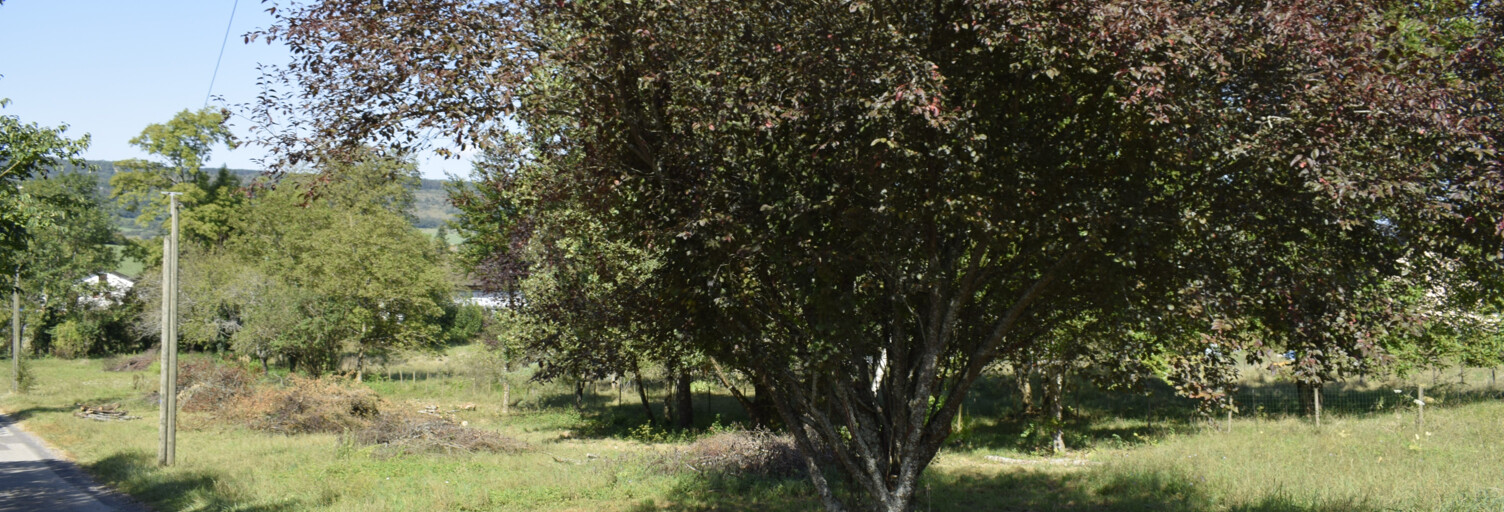 Terrain  1700 m² à vendre à Arinthod (39240)