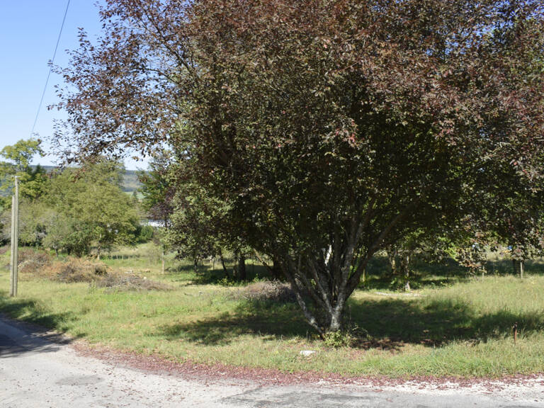 À Vendre   Terrain Constructible de 1 700 m2 à Arinthod — photo 1