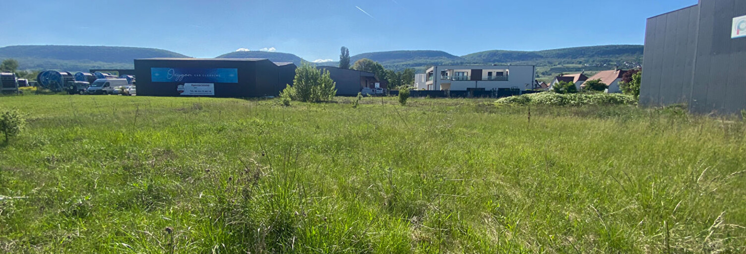 Local industriel 3 Pièces 3518 m² à vendre à Hattstatt (68420)