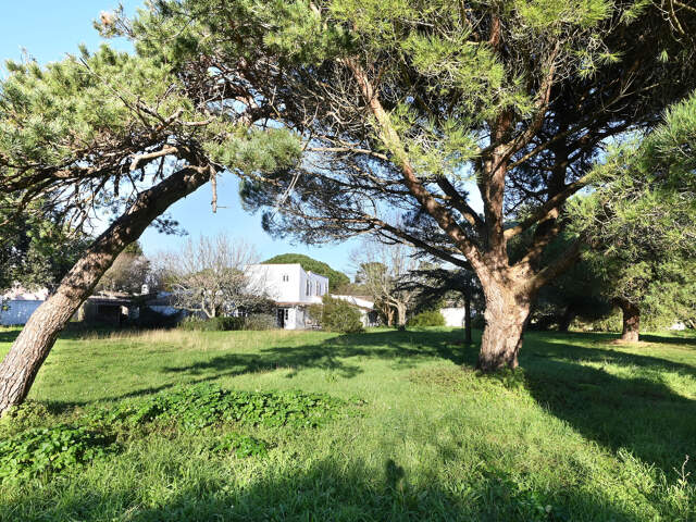 Maison à Les Portes-en-Ré — photo du bien