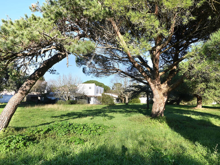 Maison   — photo 1