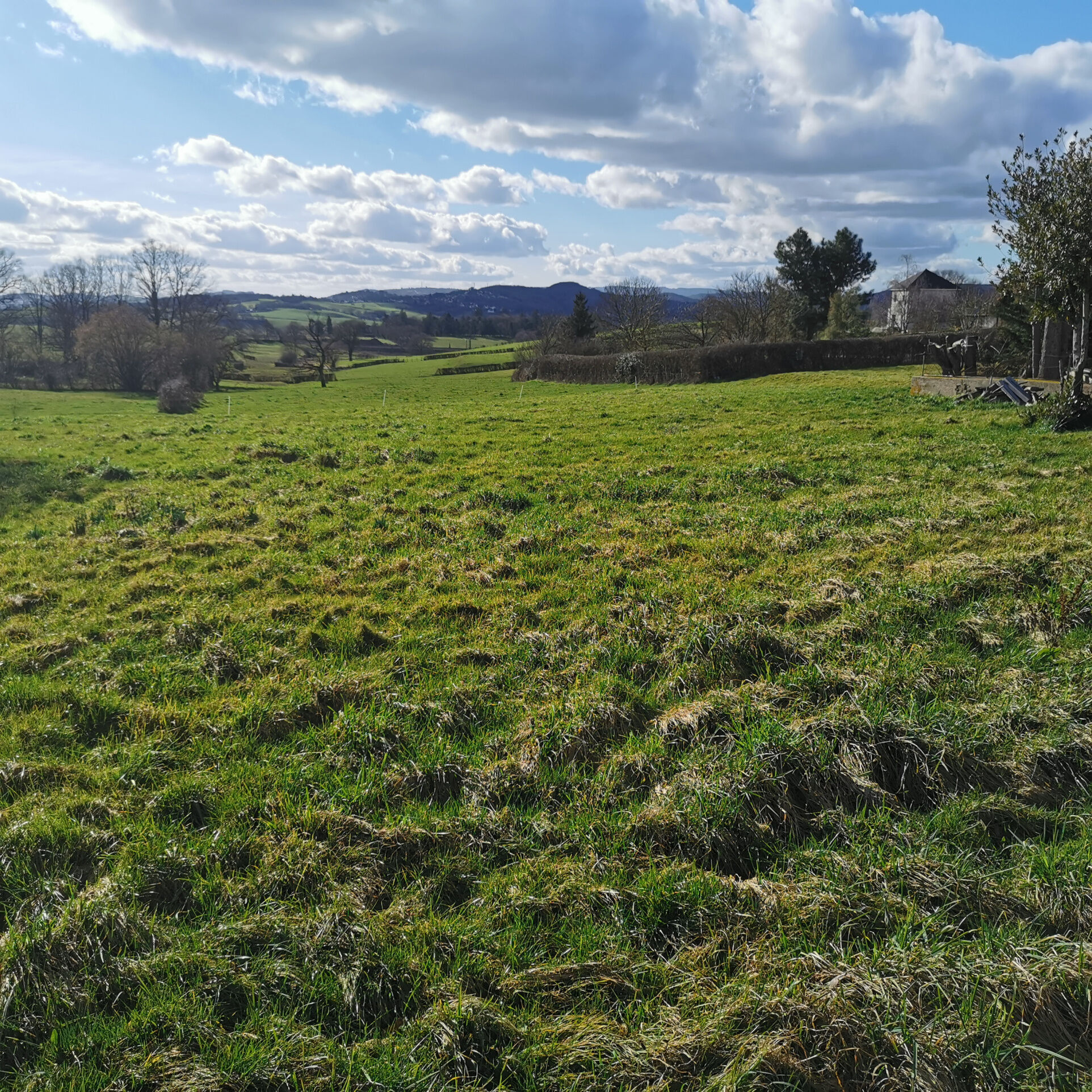 AMOUREUX DE LA CAMPAGNE