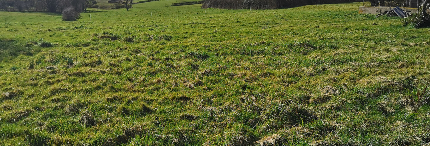 Terrain  1439 m² à vendre à Saint-Firmin (71670)