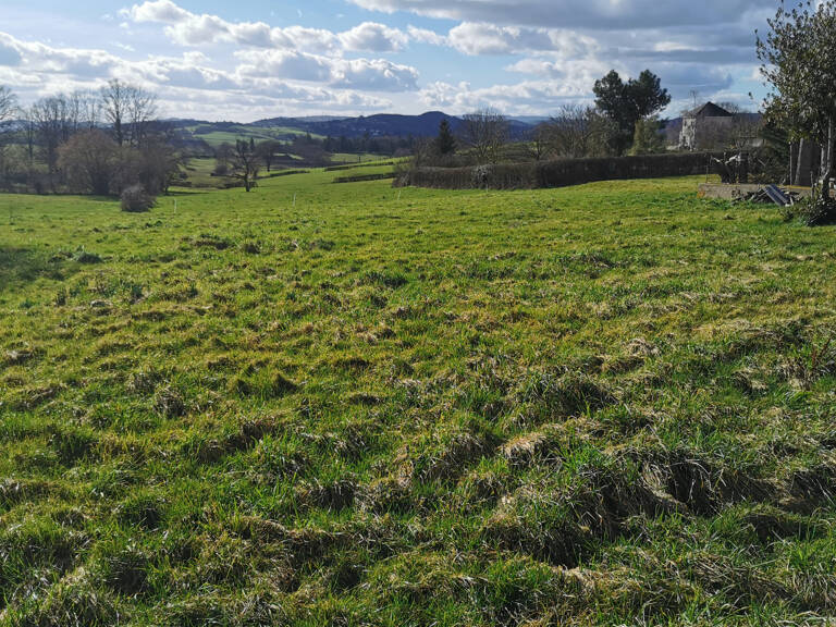 AMOUREUX DE LA CAMPAGNE — photo 1
