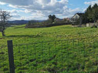 AMOUREUX DE LA CAMPAGNE — photo 3