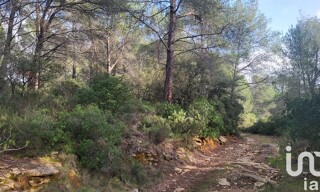 Terrain  12897 m² à vendre à Le Beausset (83330)