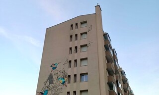 Photo N° 9