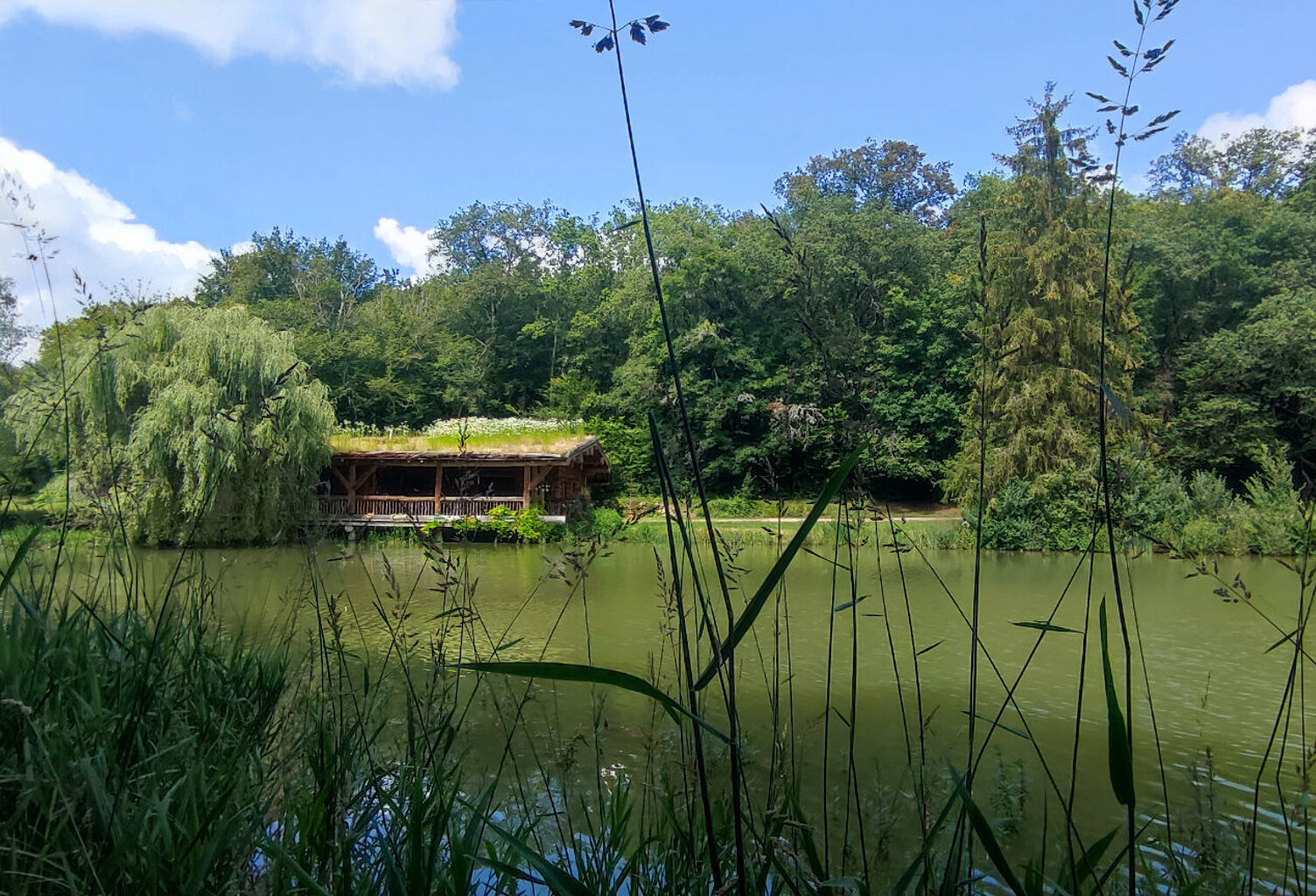 Maison fuste 4 ch avec terrain de 2,5 ha — photo 1
