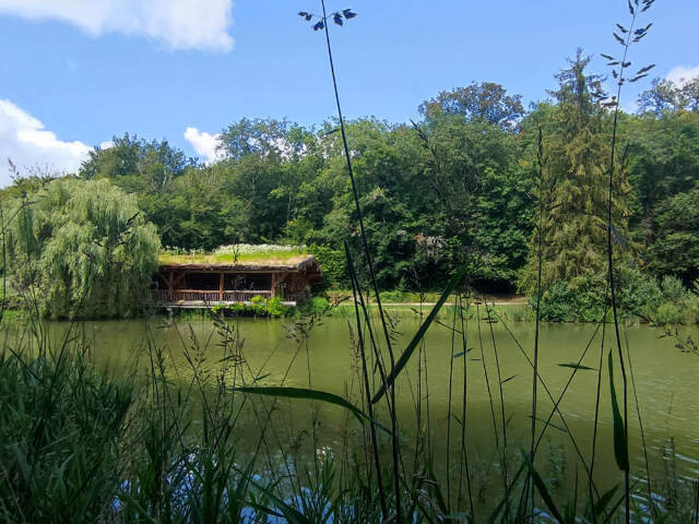 Maison fuste 4 ch avec terrain de 2,5 ha — photo du bien