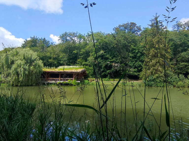 Maison fuste 4 ch avec terrain de 2,5 ha — photo 1