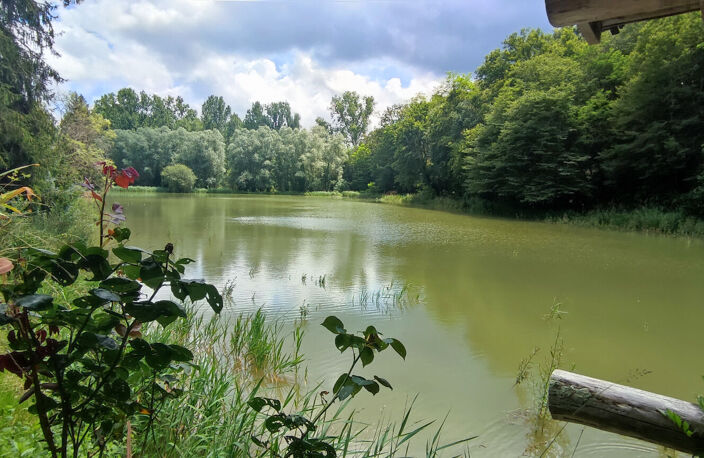 Maison fuste 4 ch avec terrain de 2,5 ha — photo 3