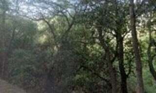 Terrain  2397 m² à vendre à Menton (06500)