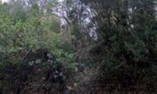 Terrain  1955 m² à vendre à Menton (06500)