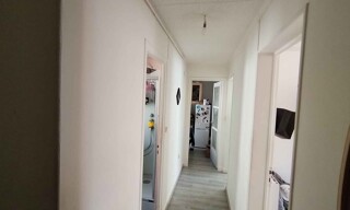 Photo N° 4