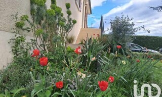 Photo N° 5