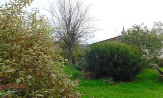 Photo N° 11
