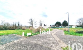 Photo N° 4