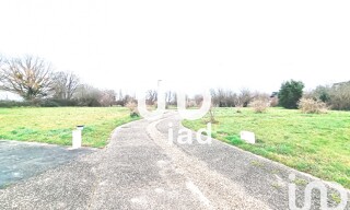 Photo N° 6