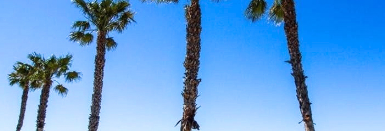 Appartement 2 Pièces 40 m² à vendre à Six-Fours-les-Plages (83140)