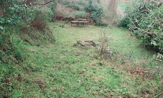 Photo N° 6