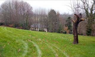 Terrain  3620 m² à vendre à Masseret (19510)